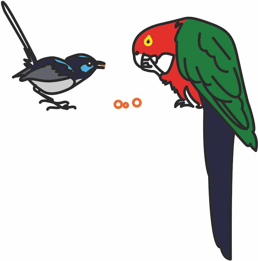 Quote from Dalai Lama, with different sized birds used for demonstrating the concept of respect